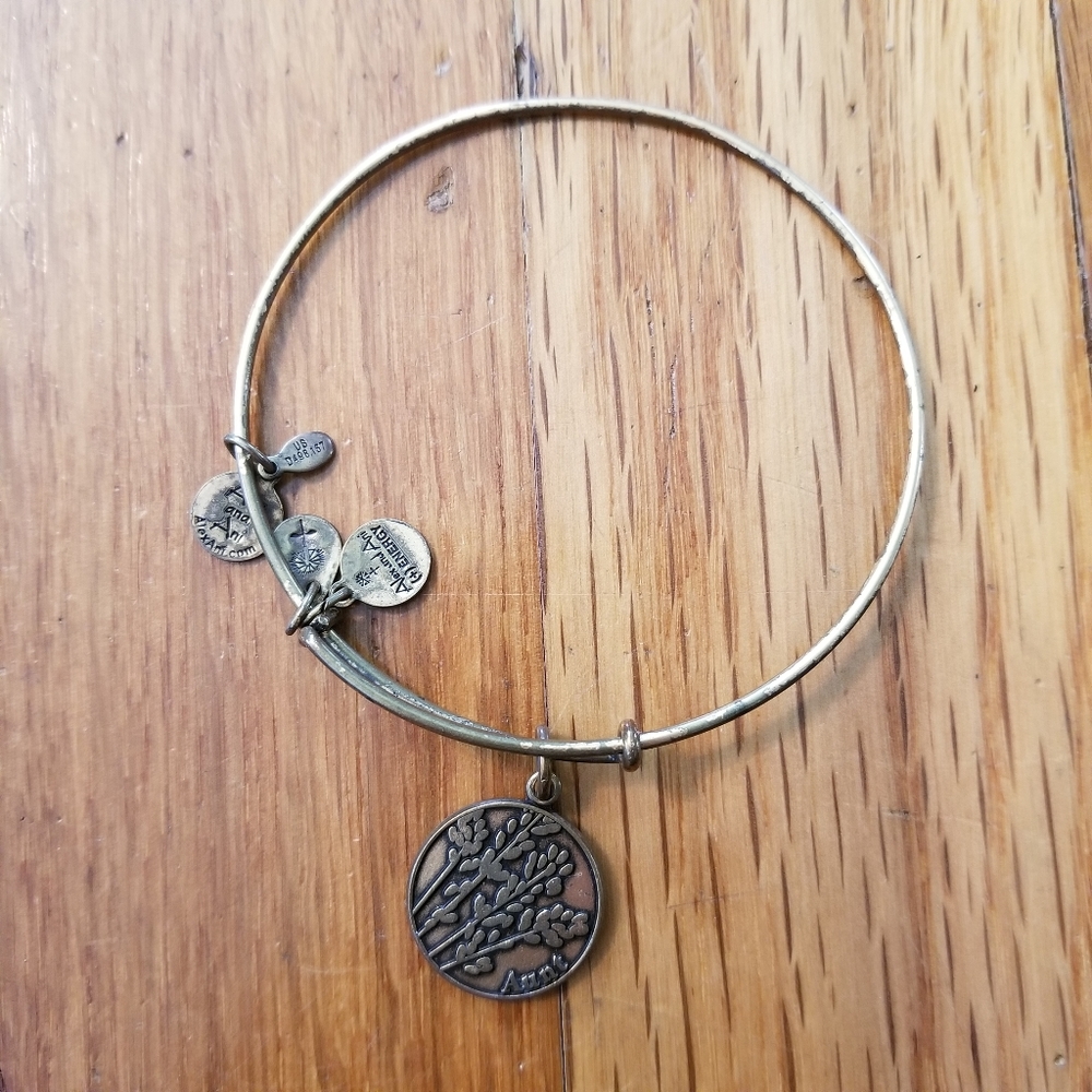 Alex and Ani, Gold Aunt Bracelet